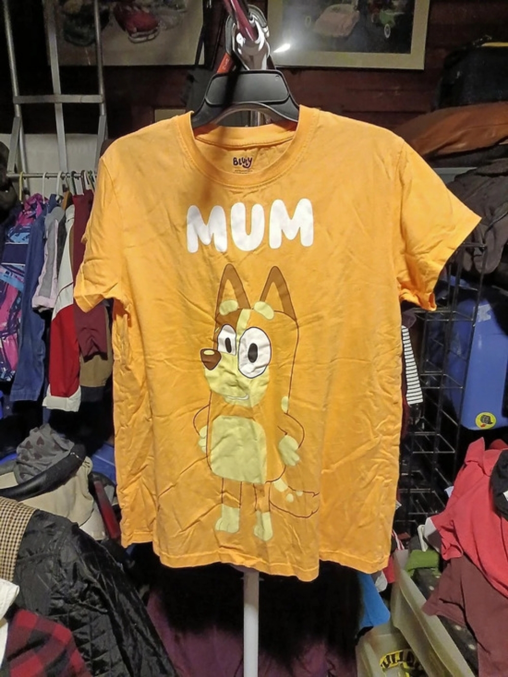Bluey Kids Graphic Tee in Orange